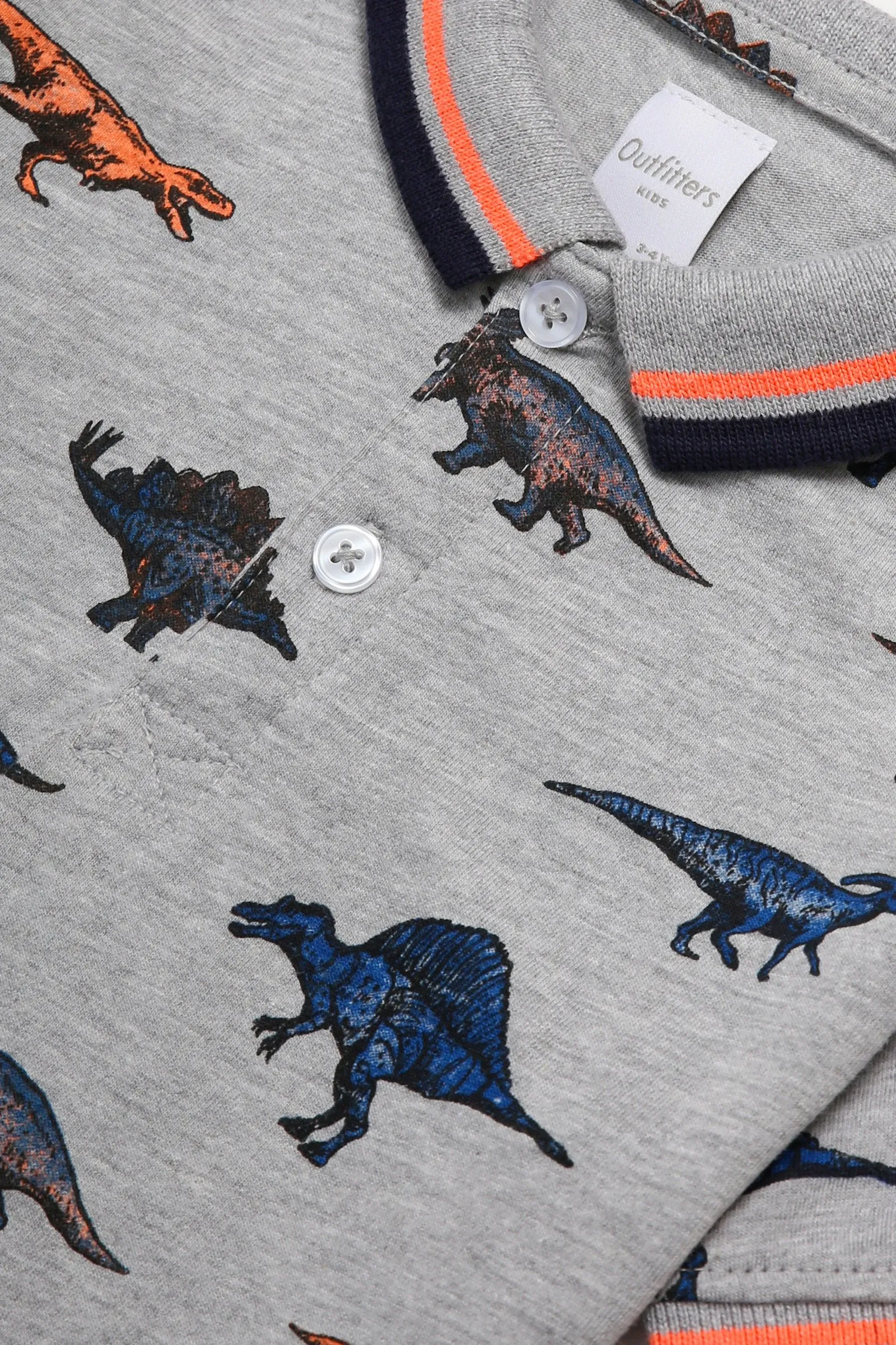 Dinosaur' Graphic T-shirt