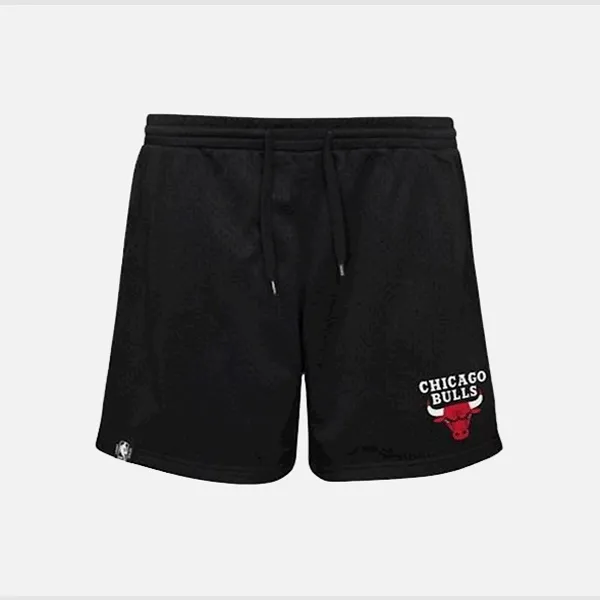 NBA Youth Team Mesh Shorts - Bulls